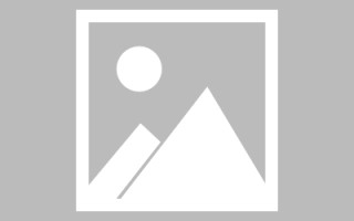 铁岭网站建设书单（网站设计书模板）